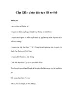 Tài liệu Cấp Giấy phép đào tạo lái xe ôtô pdf