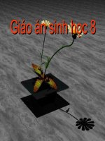 Gián án bai48- Hethankinh sinhduong