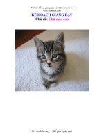 Tài liệu KẾ HOẠCH GIẢNG DẠY - Chủ đề: Chú mèo con docx