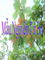 Tài liệu mau nguyen tu BO hoan hao