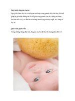 Tài liệu Phát triển thị giác cho bé ppt