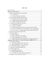 Nghiên cứu chẩn đoán và điều trị tắc động mạch phổi cấp 