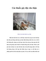 Tài liệu Các thuốc gây độc cho thận pptx