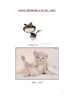 Bài soạn Năm Mão -Nói chuyện Mèo