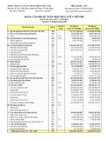 Tài liệu Tổng công ty CP xây dựng điện Việt Nam docx