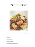 Tài liệu Thịt bò băm om đậu phụ ppt