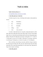 Tài liệu Nuôi cá chẽm doc