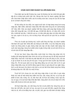 Tài liệu CHỌN CÁCH KINH DOANH TẠI LIÊN BANG NGA ppt