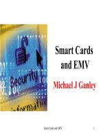 Tài liệu Slide giới thiệu thẻ thanh toán EMV doc