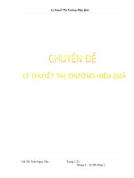 Lý thuyết thị trường hiệu quả 