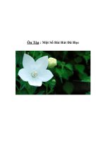 Tài liệu Âm nhạc lớp 5 - Ôn Tập : Một Số Bài Hát Đã Học pdf