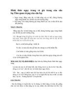 Bài giảng nguy trang