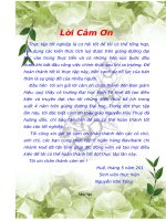 Phân tích tình hình quản trị rủi ro tín dụng tại ngân hàng thương mại cổ phần nam việt chi nhánh huế 