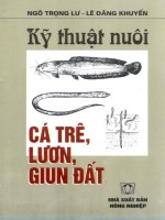 Kĩ thuật nuôi cá trê và giun đất