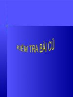 Gián án kinh te Bac My tt