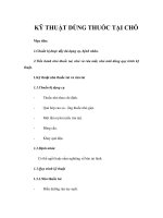 Tài liệu KỸ THUẬT DÙNG THUỐC TẠI CHỖ ppt