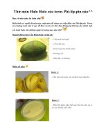 Tài liệu Thử món Halo Halo của teens Phi-líp-pin nào^^ doc