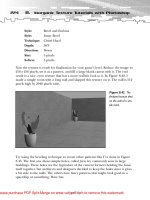 Tài liệu 2D Artwork and 3D Modeling for Game Artists- P6 docx