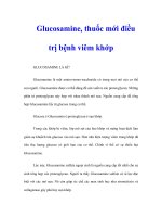 Tài liệu Glucosamine, thuốc mới điều trị bệnh viêm khớp pptx
