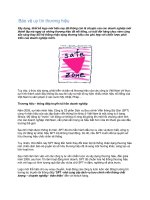 Tài liệu Bảo vệ uy tín thương hiệu pdf