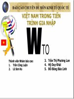 Tài liệu Việt Nam trong tiến trình gia nhập WTO ppt