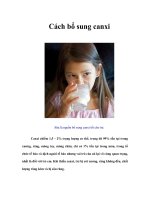 Tài liệu Cách bổ sung canxi pptx