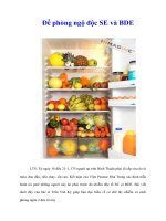 Tài liệu Đề phòng ngộ độc SE và BDE pptx