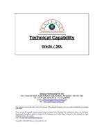 Tài liệu Technical Capability docx