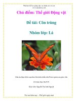 Tài liệu Chủ điểm: Thế giới Động vật - Đề tài: Côn trùng - Nhóm lớp: Lá docx