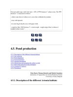 Tài liệu Manual on the Production and Use of Live Food for Aquaculture - Phần 8 pptx