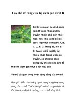 Tài liệu Cây chó đẻ răng cưa trị viêm gan virut B ppt