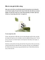 Tài liệu Đầu tư vào giá trị bền vững pptx