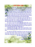 Nâng cao chất lượng phục vụ của đội ngũ nhân viên công ty thông tin di động VMS mobifone chi nhánh huế 