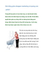 Tài liệu Cân bằng giữa shopper marketing và quảng cáo –phần1 docx