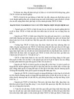 Tài liệu TÀI KHOẢN 213 - TÀI SẢN CỐ ĐỊNH VÔ HÌNH pdf