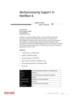 Tài liệu Multiprocessing Support in Netware 6 pdf