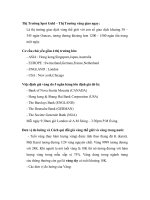 Tài liệu Thị Trường Spot Gold pdf