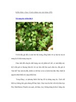 Tài liệu Kiến thức y học: Cách chăm sóc sức khỏe (P5) pptx