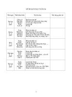 Tài liệu giáo án lớp 4 tuần 24