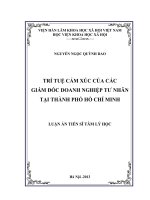 TRÍ TUỆ CẢM XÚC CỦA CÁC GIÁM ĐỐC DOANH NGHIỆP TƯ NHÂN TẠI THÀNH PHỐ HỒ CHÍ MINH 