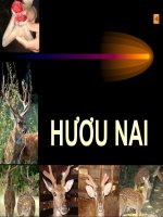 Tài liệu Động vật làm thuốc_Phần 11 pdf