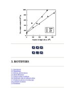 Tài liệu Manual on the Production and Use of Live Food for Aquaculture - Phần 3 ppt