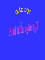 Tài liệu Lĩnh vực phát triển ngôn ngữ ppt