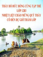 Bài giảng BÀI THƠ ĐẤT NƯỚC (NGUYỄN KHOA ĐIỀM)