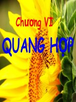 Tài liệu Chương VI: Quang hợp ppt