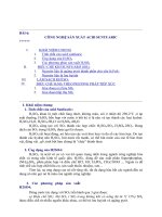 Tài liệu Công nghệ sản xuất acid suntuaric pdf