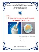 Đề tài: Ứng dụng enzyme trong công nghệ chế biến và bảo quản sữa