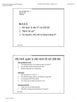 Tài liệu Kinh tế phát triển_ Mô hình quản lý nền kinh tế mở (EB-IB) docx