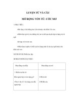 Tài liệu Luyện từ và câu - MỞ RỘNG VỐN TỪ: ƯỚC MƠ docx