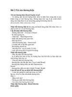 Những vấn đề cơ bản về kiểm toán nội bộ